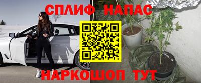 не бодяженный Гудермес