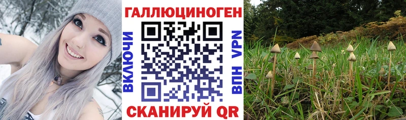 Галлюциногенные грибы Psilocybine cubensis  где купить наркоту  Бор 
