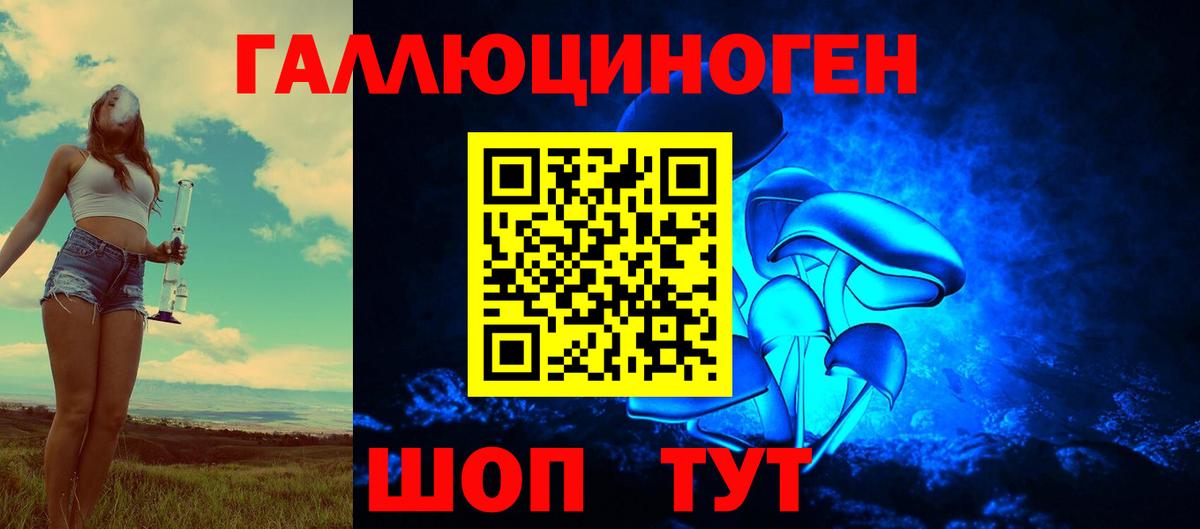 Псилоцибиновые грибы Psilocybine cubensis Бор