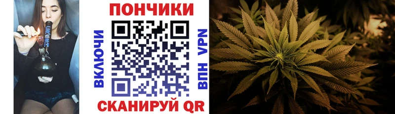 Бошки марихуана конопля Бор